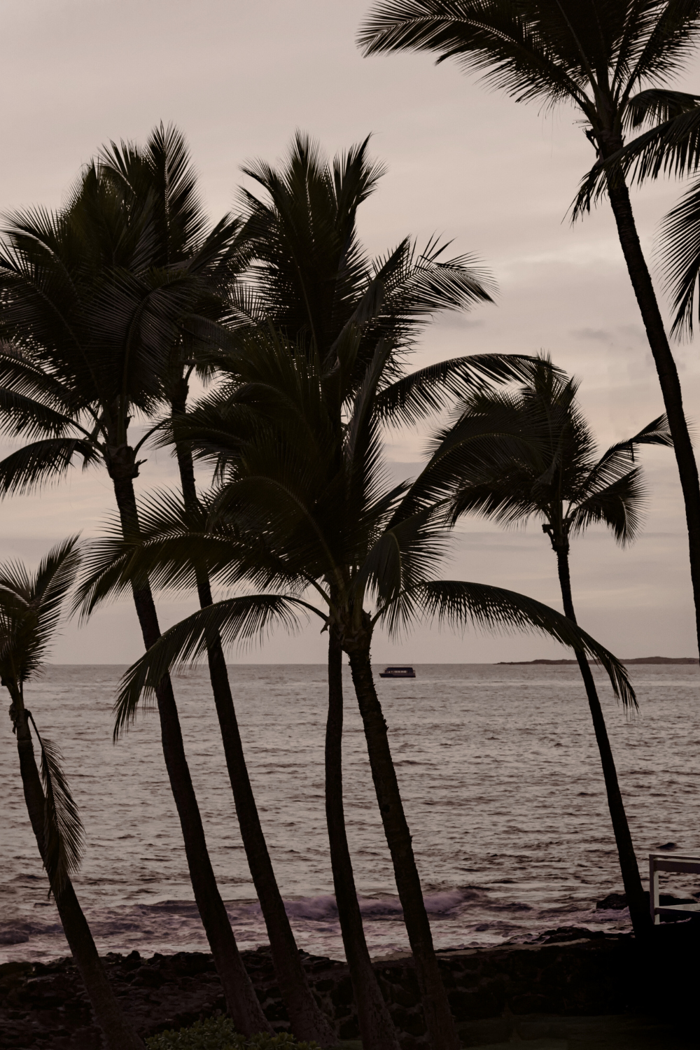 Kona Breeze Luxury Wax Melts - Handmade in Southern California