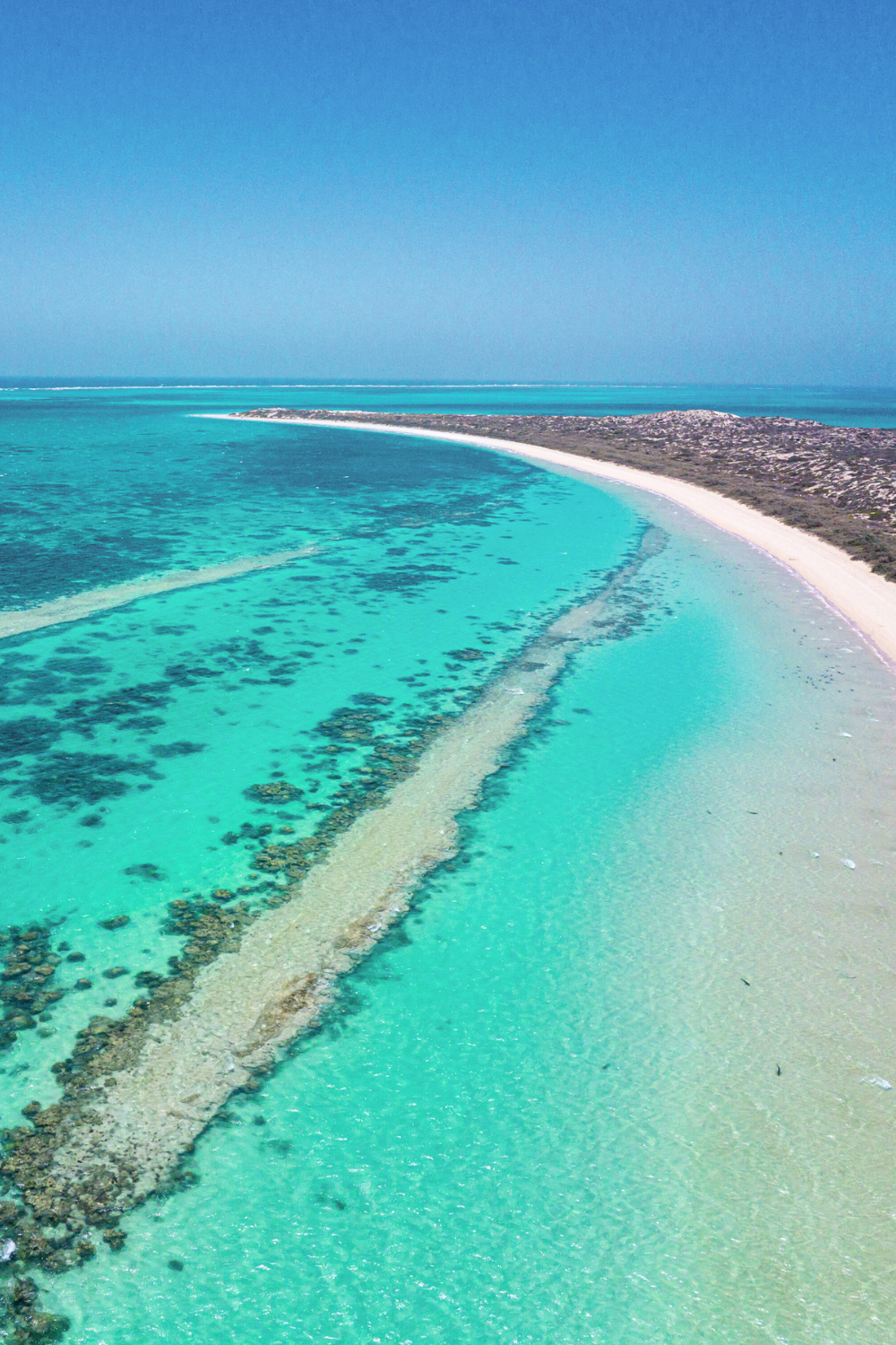 Turquoise Bay Wax Melts - Handmade in Southern California