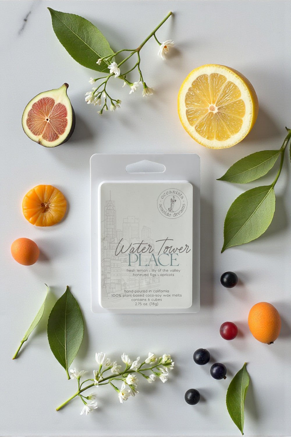 Water Tower Place Wax Melts - Handmade in Southern California - Oceanista