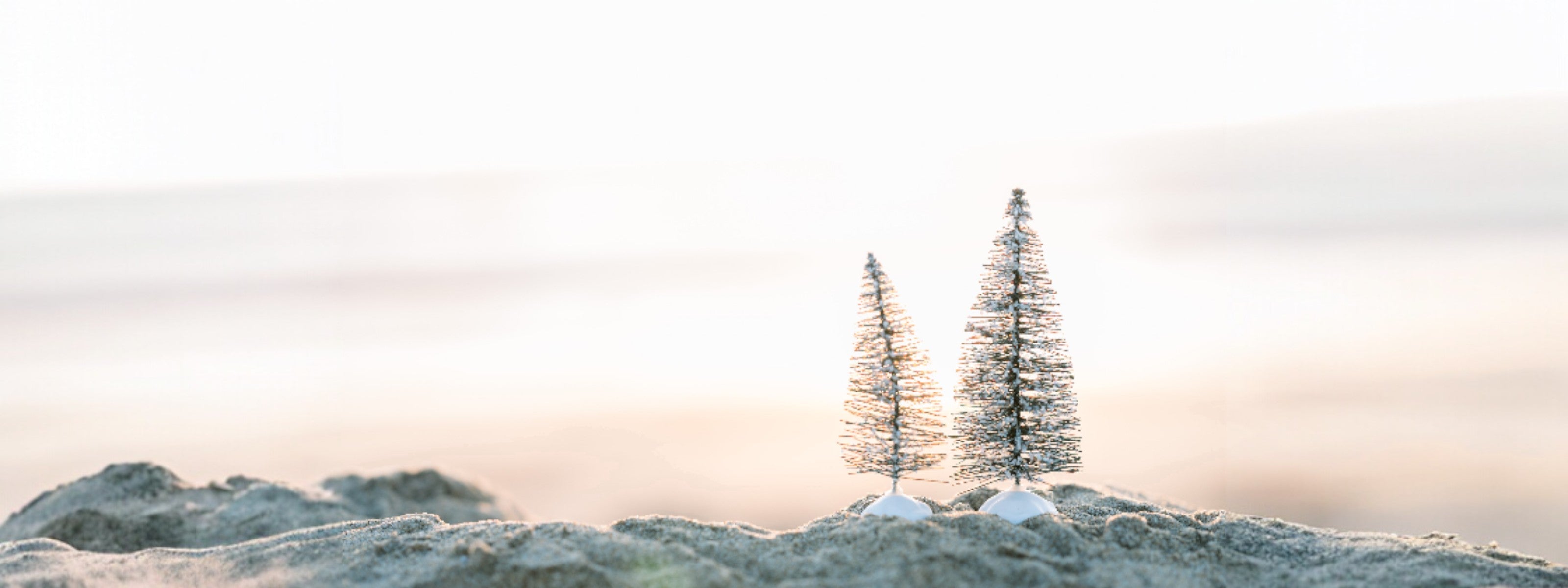 Coastal Holiday Gift Guide