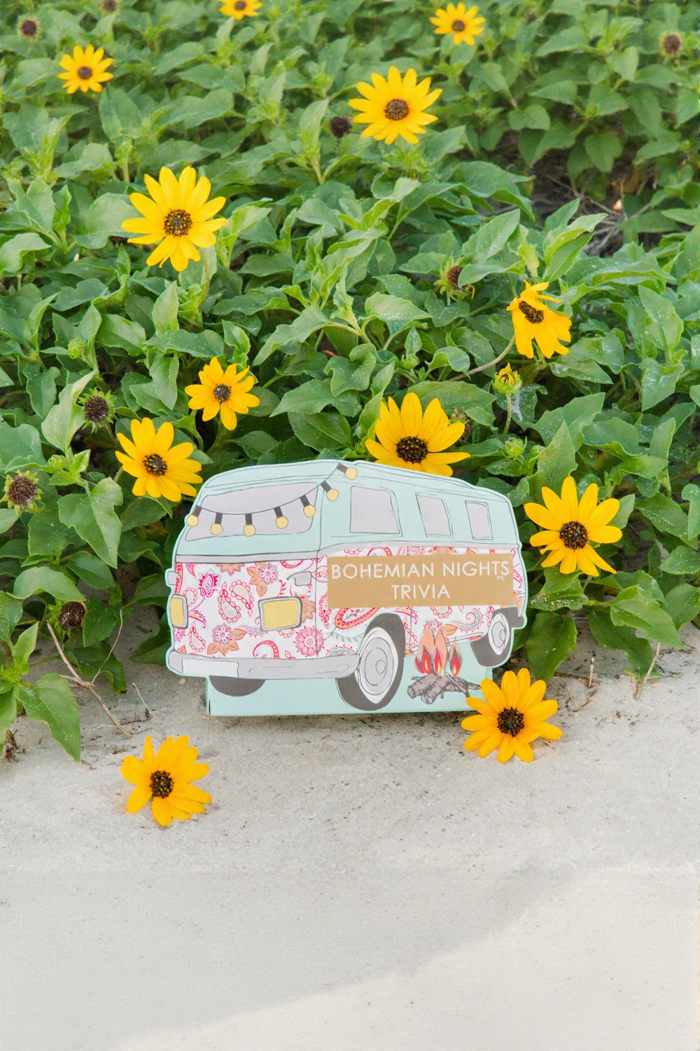 Bohemian Nights Campervan Trivia Game