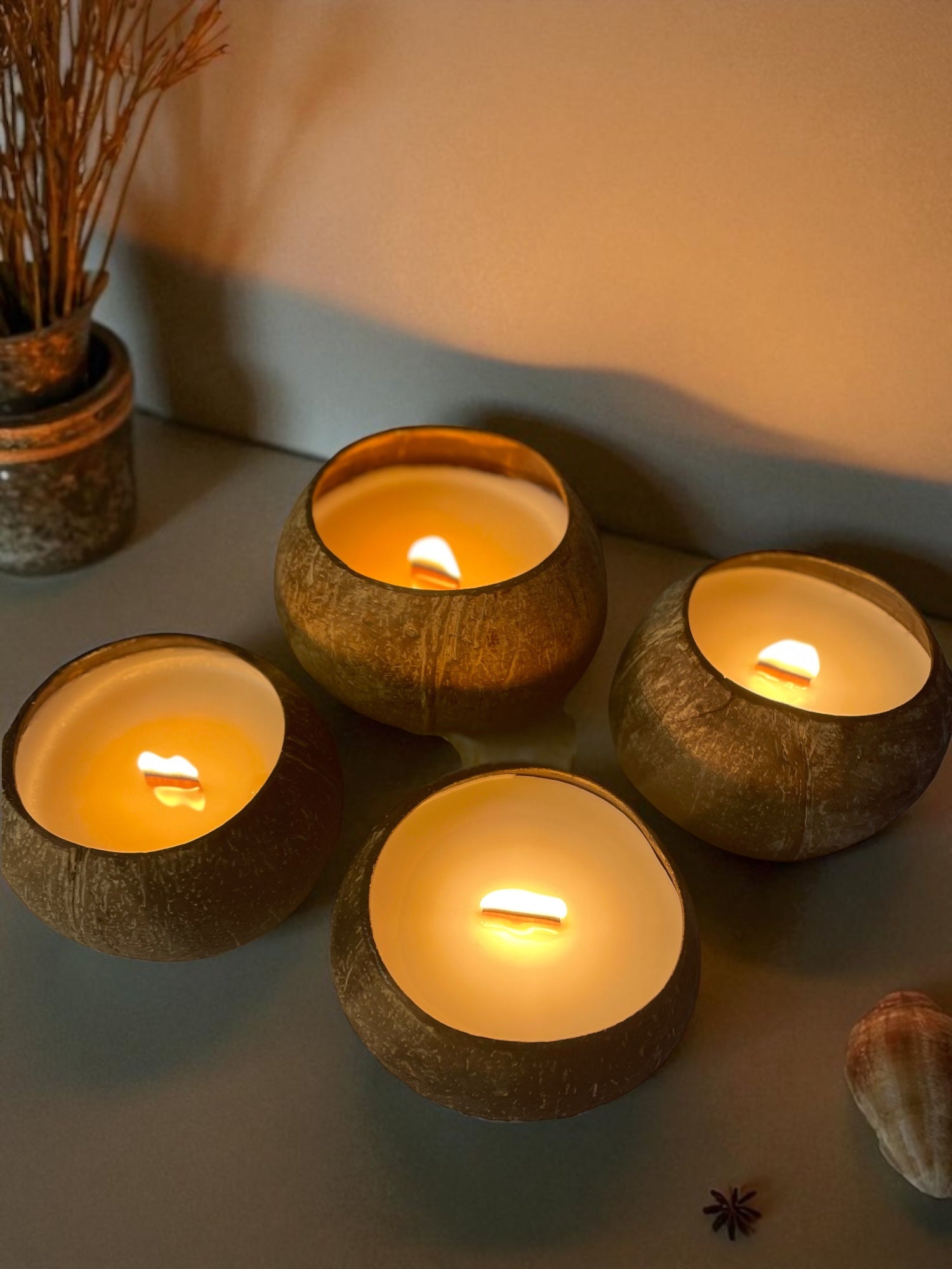 Coco Beach™ - Artisan Coconut Bowl Candle